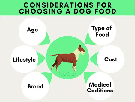 How to Choose the Right Pet Food