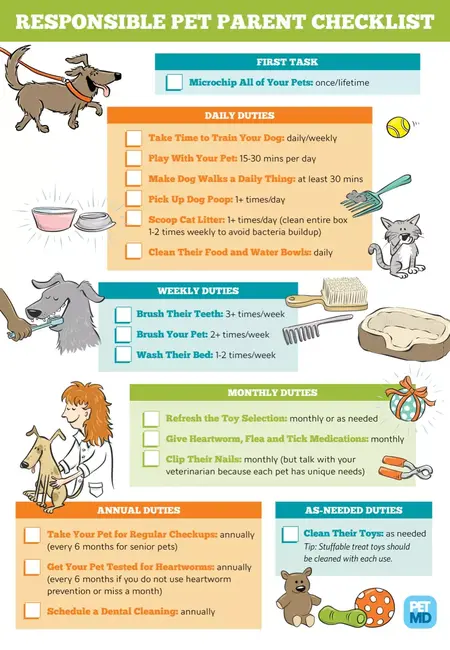 How to Take Care of Your Pet's Health