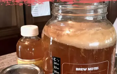 How to Make Kombucha at Home