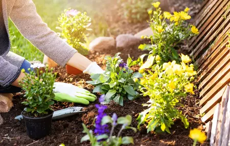 How to Create a Sustainable Garden
