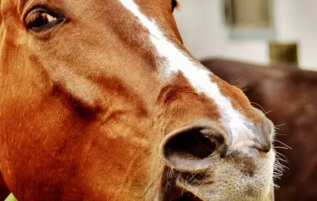 How to Be More Humorous