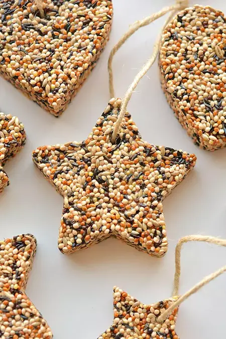 How to Make a Homemade Birdseed Ornament
