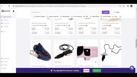 How to Start a Dropshipping Business with Spocket