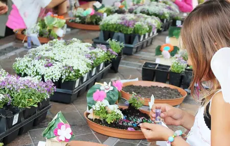 How to Make a Fairy Garden Birthday Party