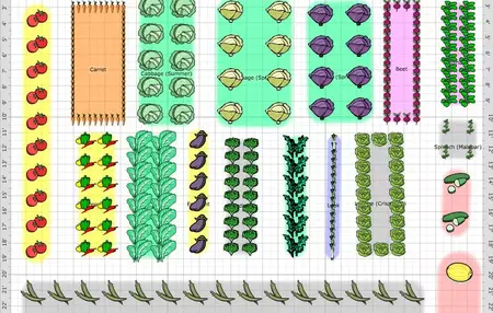 How to Plan a Spring Garden