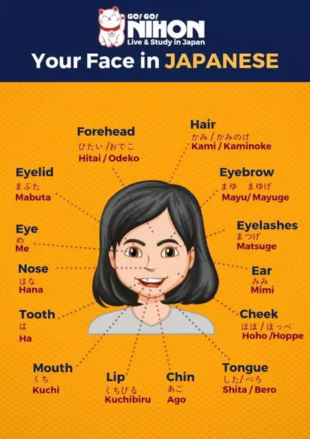 How to Learn to Speak Japanese