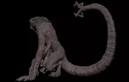 How to Learn to Sculpt