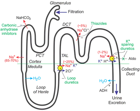 How to [Action] in [Location]