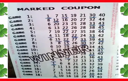 How to Play the Lottery and Increase Your Odds of Winning