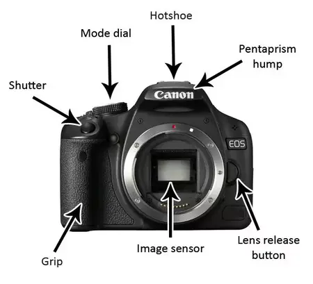 How to Use a DSLR Camera