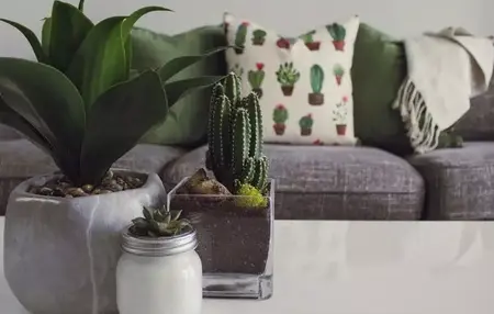 How to Create a Relaxing Home Environment