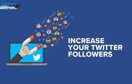 How to Get More Twitter Followers