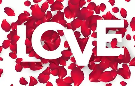 How to Get a Job You Love