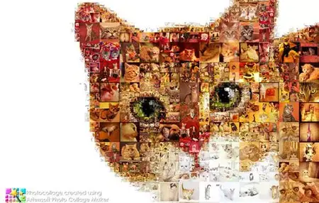 How to Make a Photo Collage