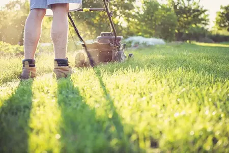 How to Take Care of Your Lawn