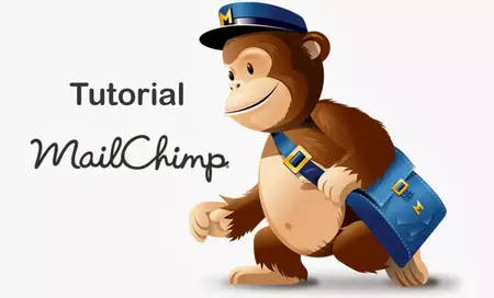 How to Use Mailchimp