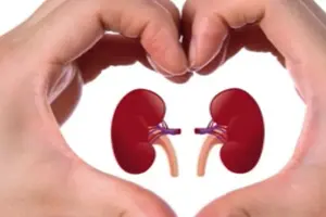 Detoksifikasi Ginjal: Panduan Lengkap Menjaga Kesehatan Ginjal