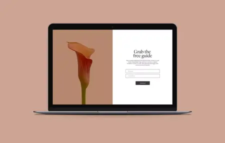 How to Create a Website Newsletter Signup