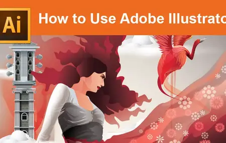 How to Use Adobe Illustrator for Vector Graphics