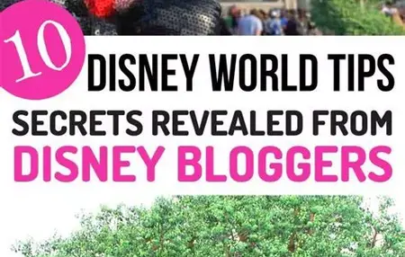 How to Plan a Trip to Disney World