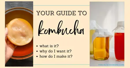 How to Make Kombucha Shampoo