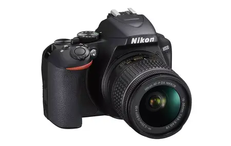 How to Use a Digital Camera for Beginners