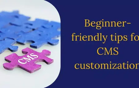 How to Use Content Management Systems (CMS)