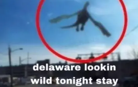 How to Stay Safe in the Wild