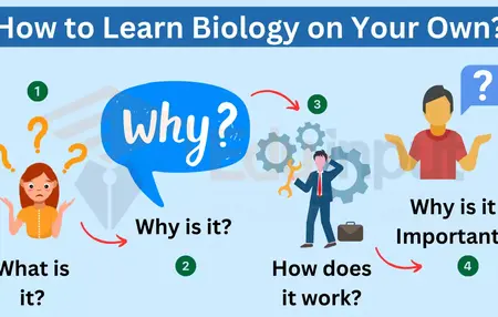 How to Learn About Biology