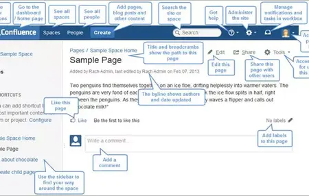 How to Use Confluence for Collaboration