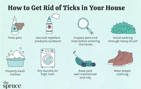 How to Get Rid of a Tick
