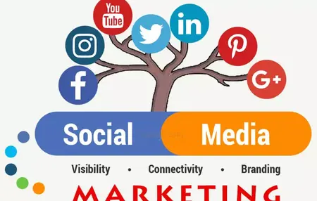 How to Start a Social Media Marketing Business