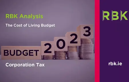 How to Make a Budget for a Large Corporation