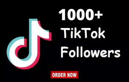 How to Get More Followers on TikTok