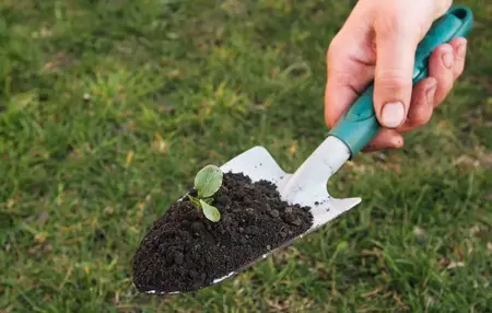 How to Use a Gardening Trowel