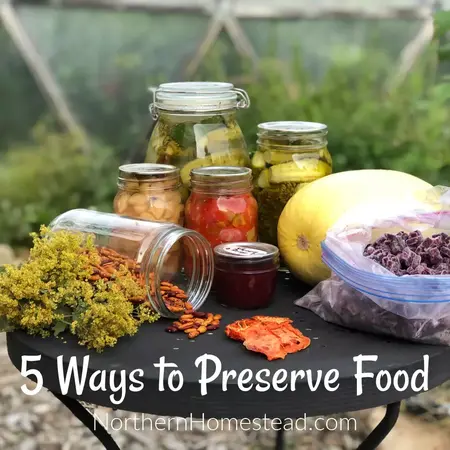 How to preserve food for a long time
