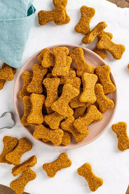 How to Make Your Own Pet Treats