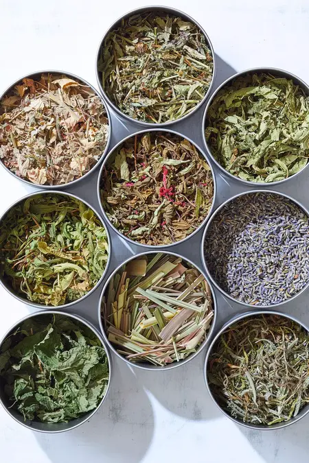 How to Use a Food Dehydrator to Make Dried Herbs