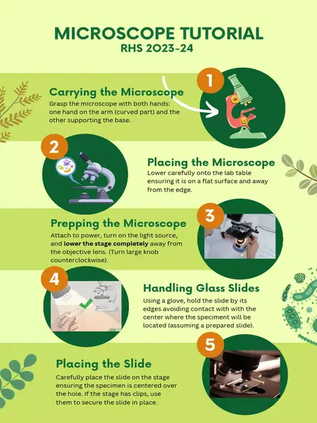 How to Use a Microscope