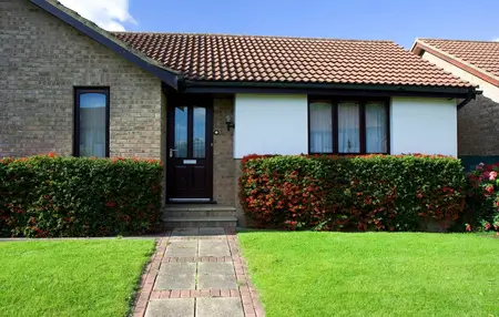 How to Take Care of Your Lawn