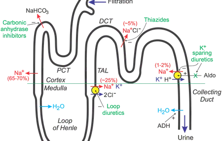 How to [Action] in [Location]