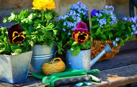How to Prepare Your Home for the Spring Season