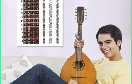 How to Learn to Play the Mandolin