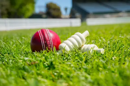 How to Learn to Play Cricket