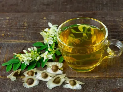 Manfaat Daun Kelor: Meningkatkan Energi, Sehat Jantung & Kulit