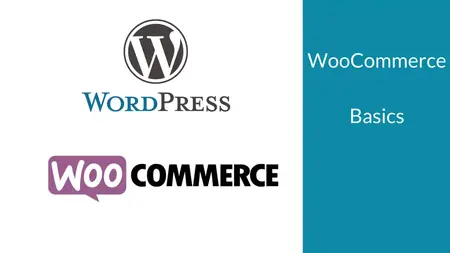 How to Learn WooCommerce