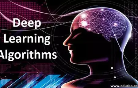 How to Use a Deep Learning Algorithm