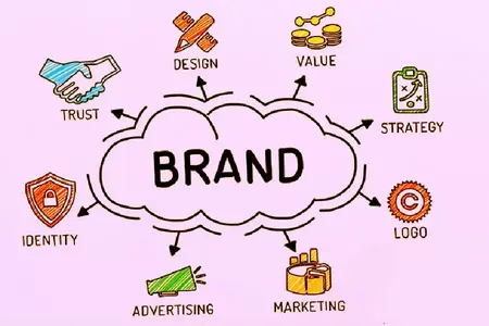 How to Build a Successful Online Brand