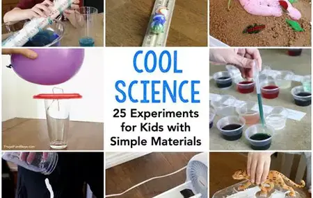 How to Make a Simple Science Experiment