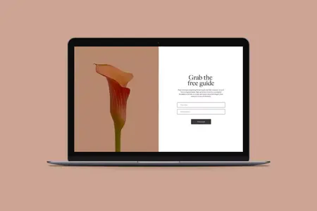 How to Create a Website Newsletter Signup